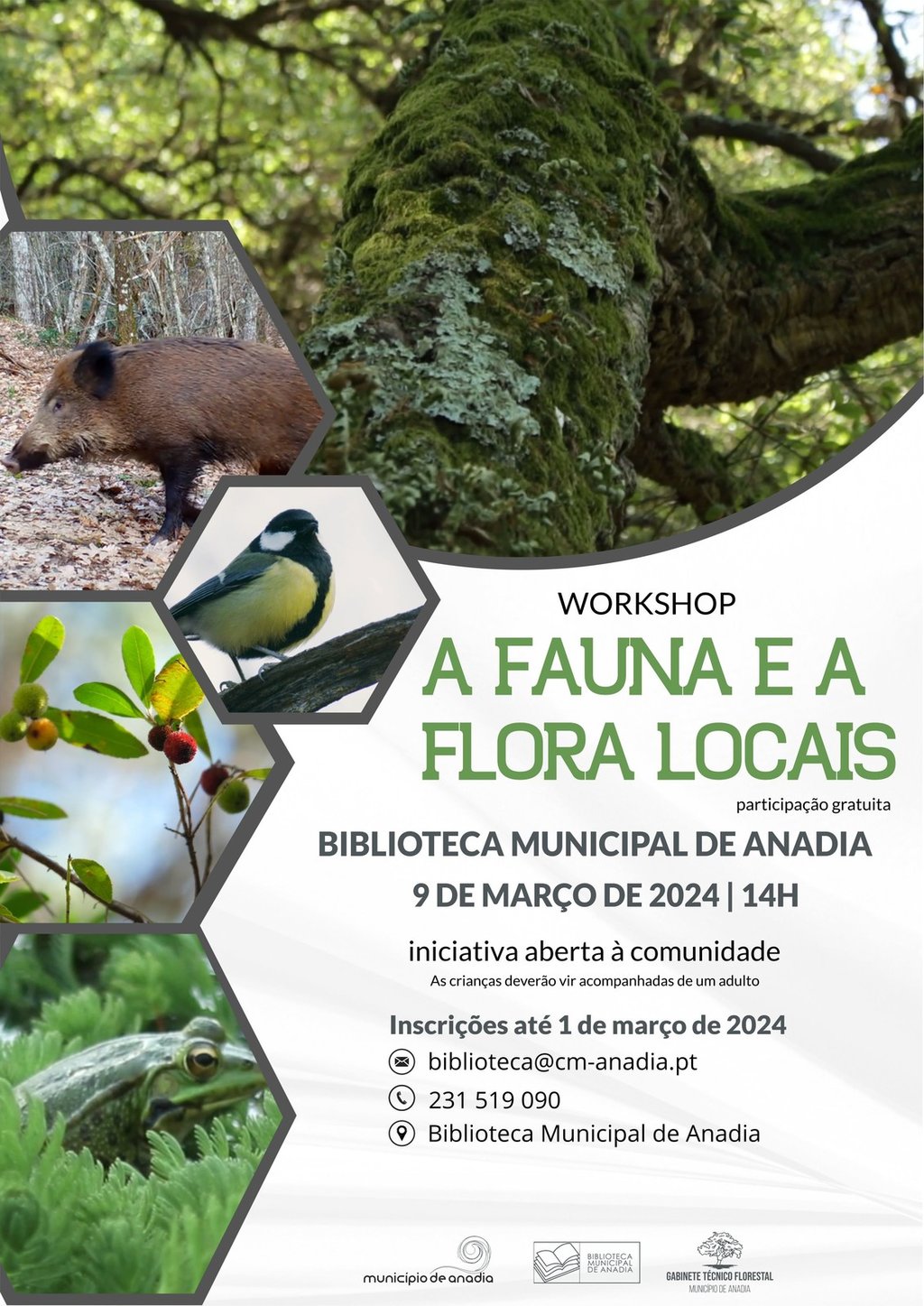 workshop_fauna_e_flora