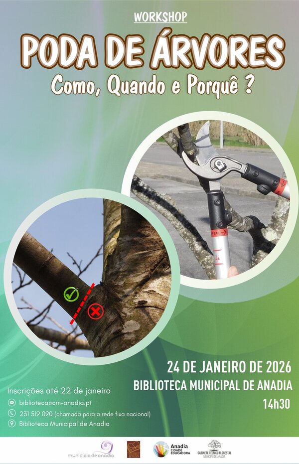 poda_das_arvores_2026
