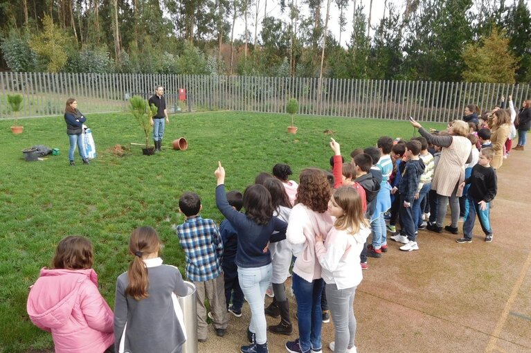 nws_2019_370_1125_amb_dfloresta