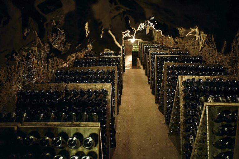 nws_2020_008_0108_empreend_vin