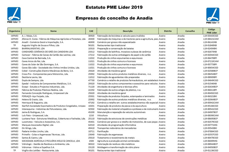 pme_lider_2019_anadia