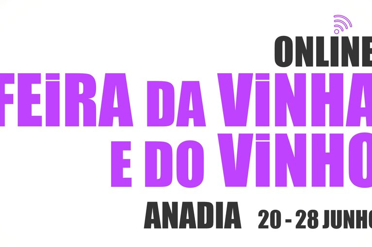 nws_2020_128_0620_fvv_online