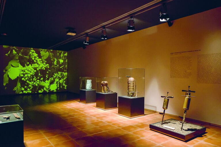 _and_museuvb_a00_6183