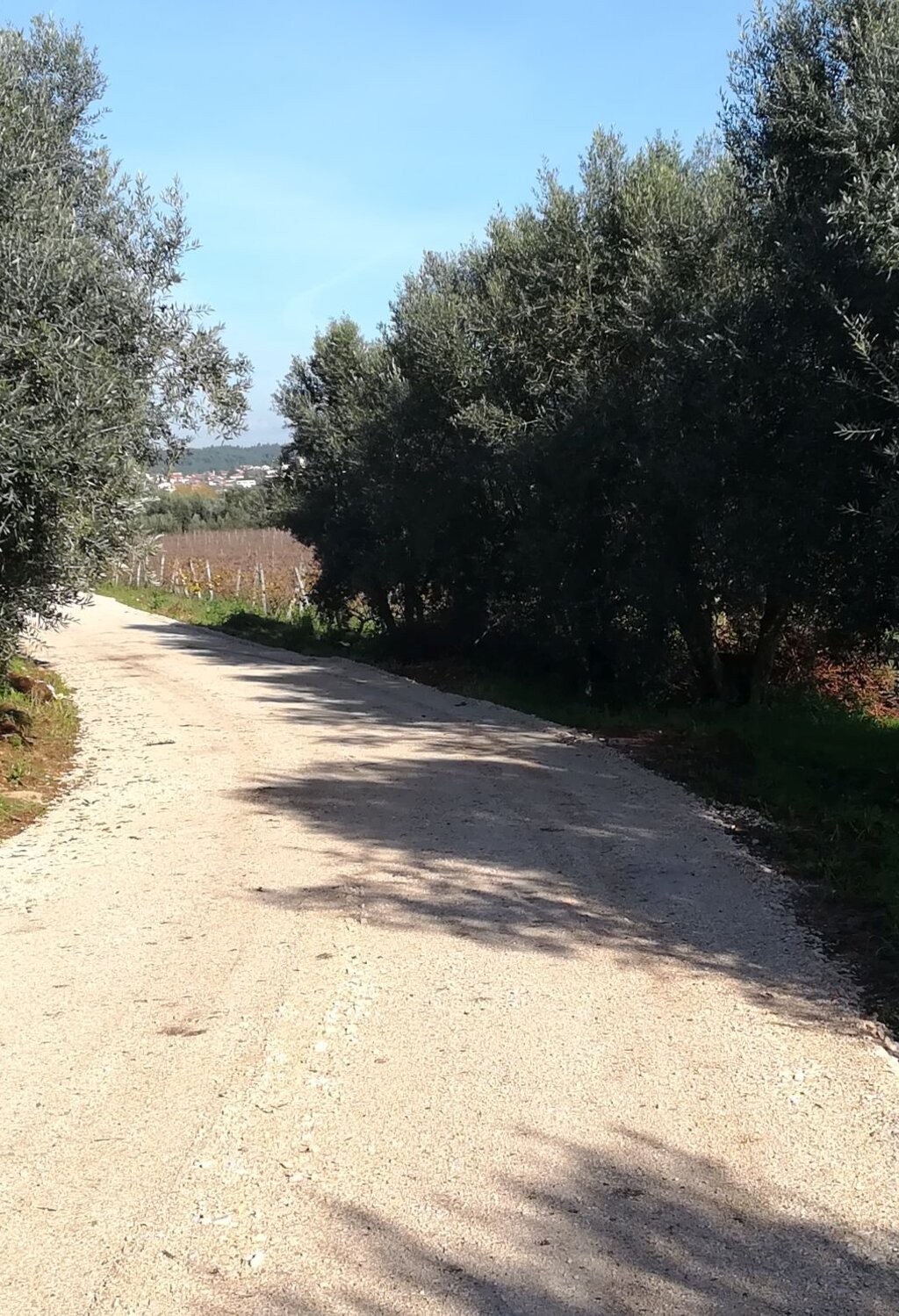 arranjo_caminhos_agricolas