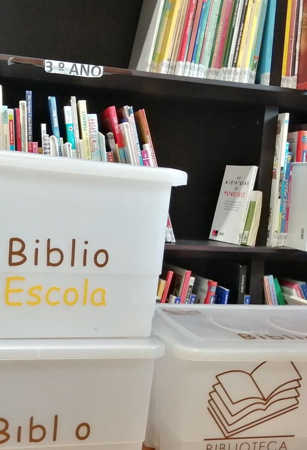 biblioescola2