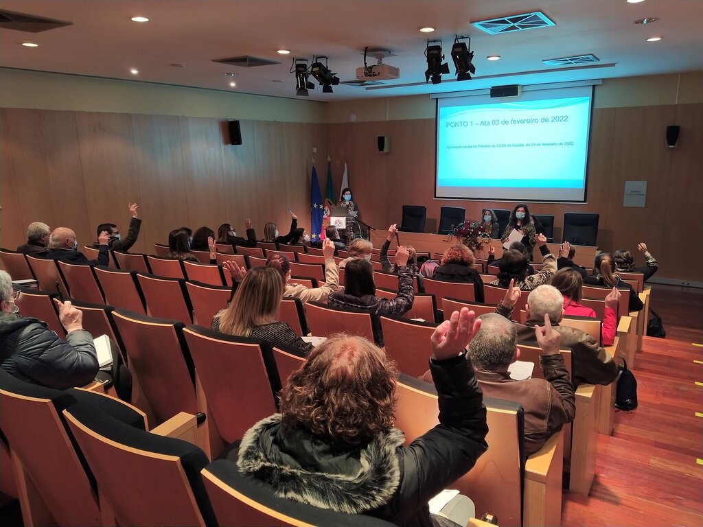 Plenário da Rede Social