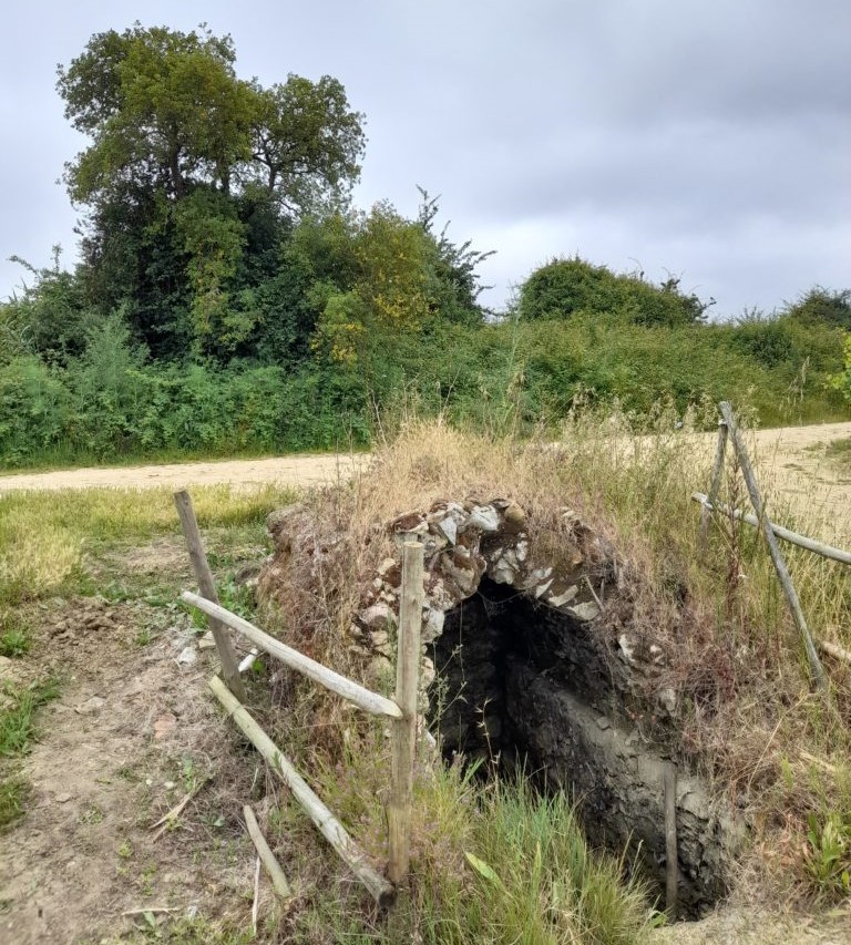 20210607_104140cuba_768x1024