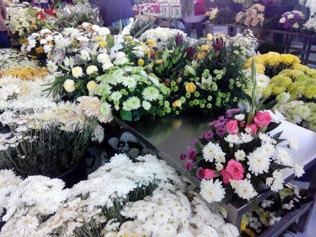 anadia_mercado_flores