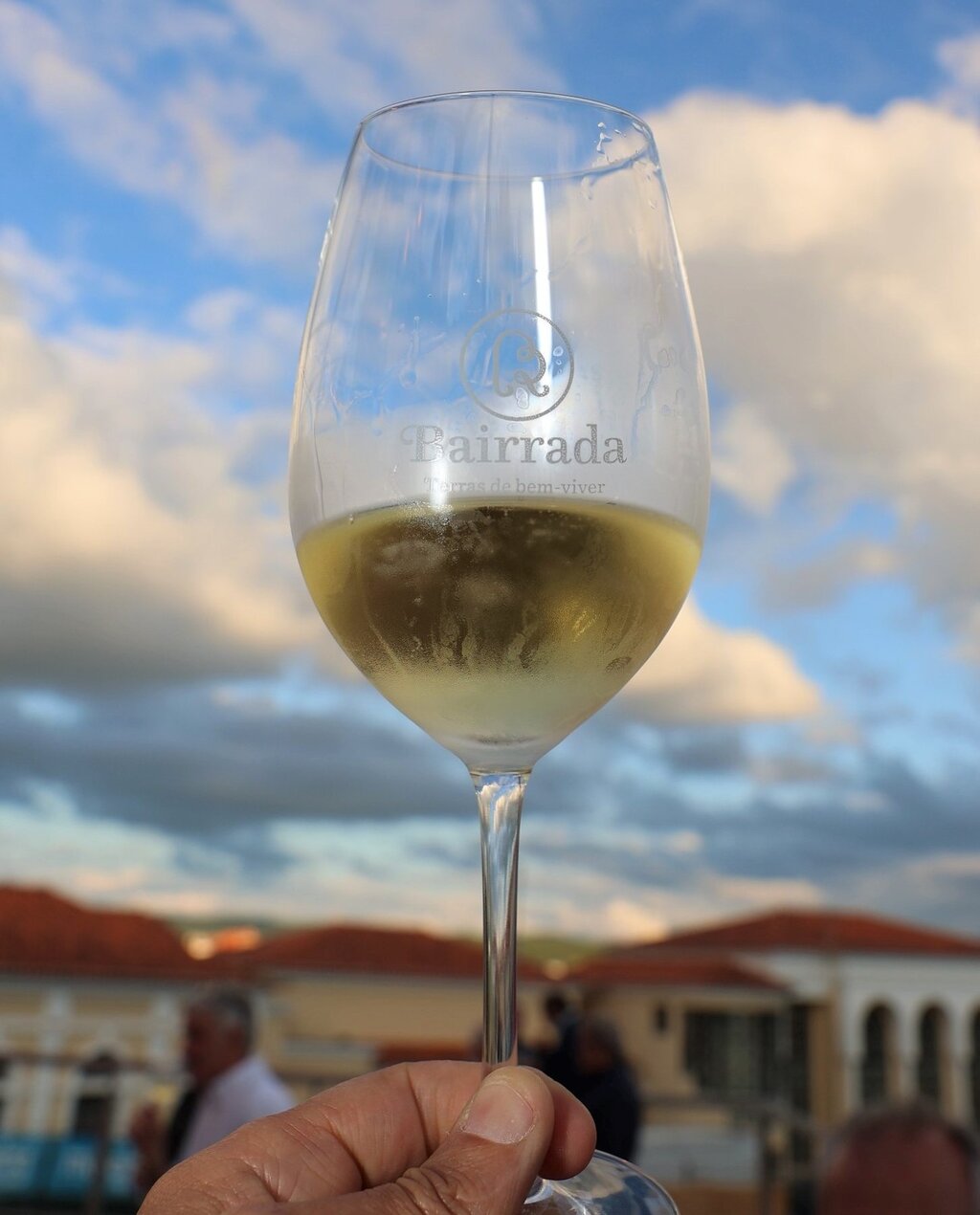 288327233_5273691716031298_9218377423417066672_n