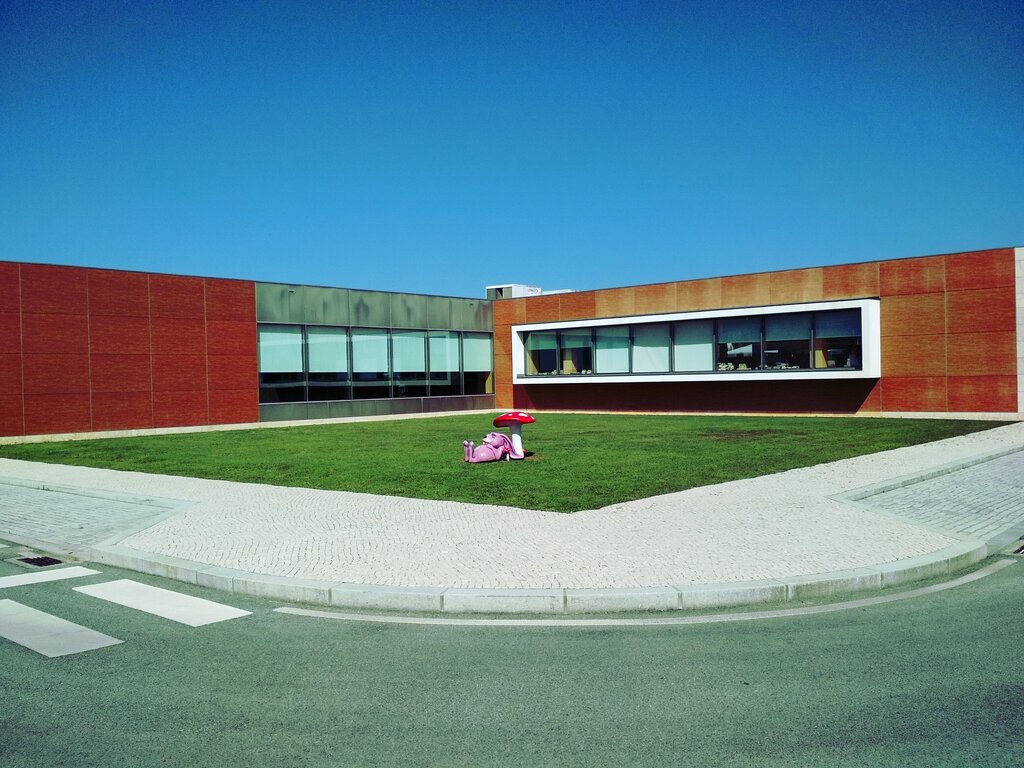 PressReader é o novo serviço da Biblioteca Municipal