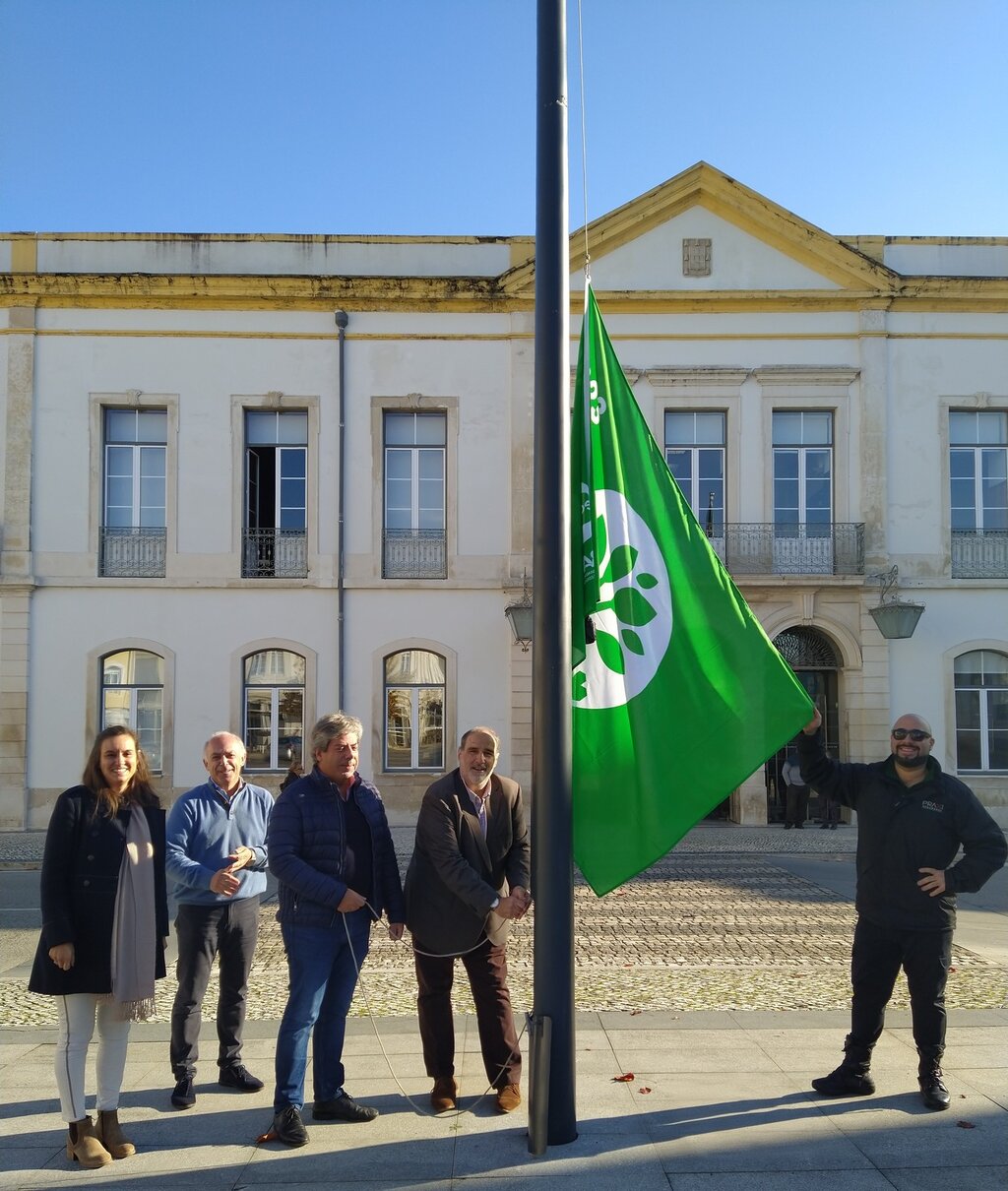 Hastear da Bandeira Verde Eco XXI