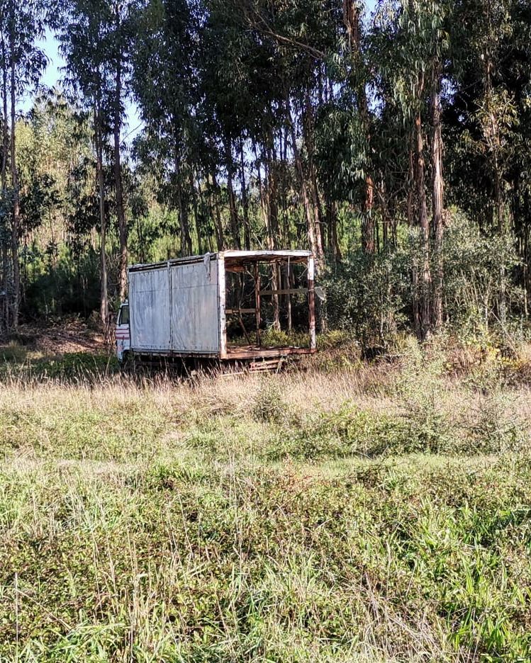 Remoção e recolha de veículos abandonados