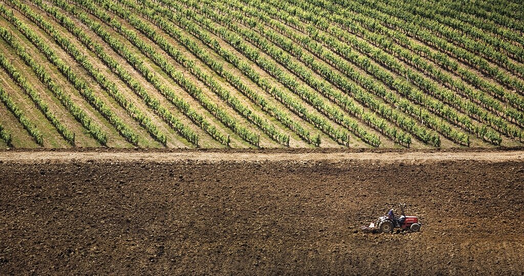 territorio_vinheiro_bairrada