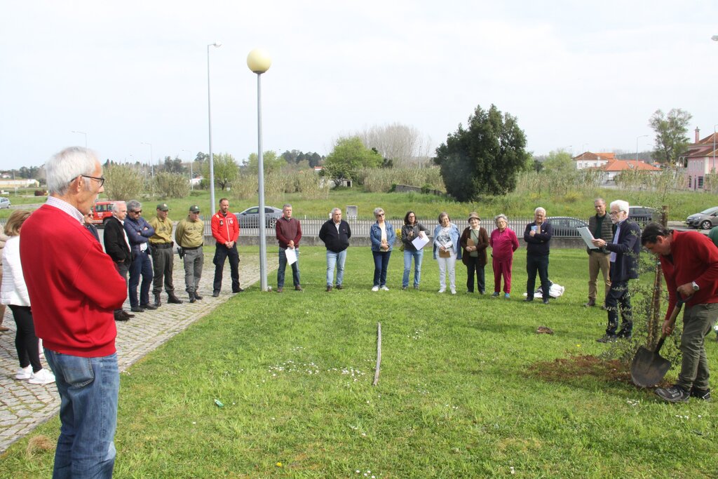 usc_dia_poesia_e_florestas