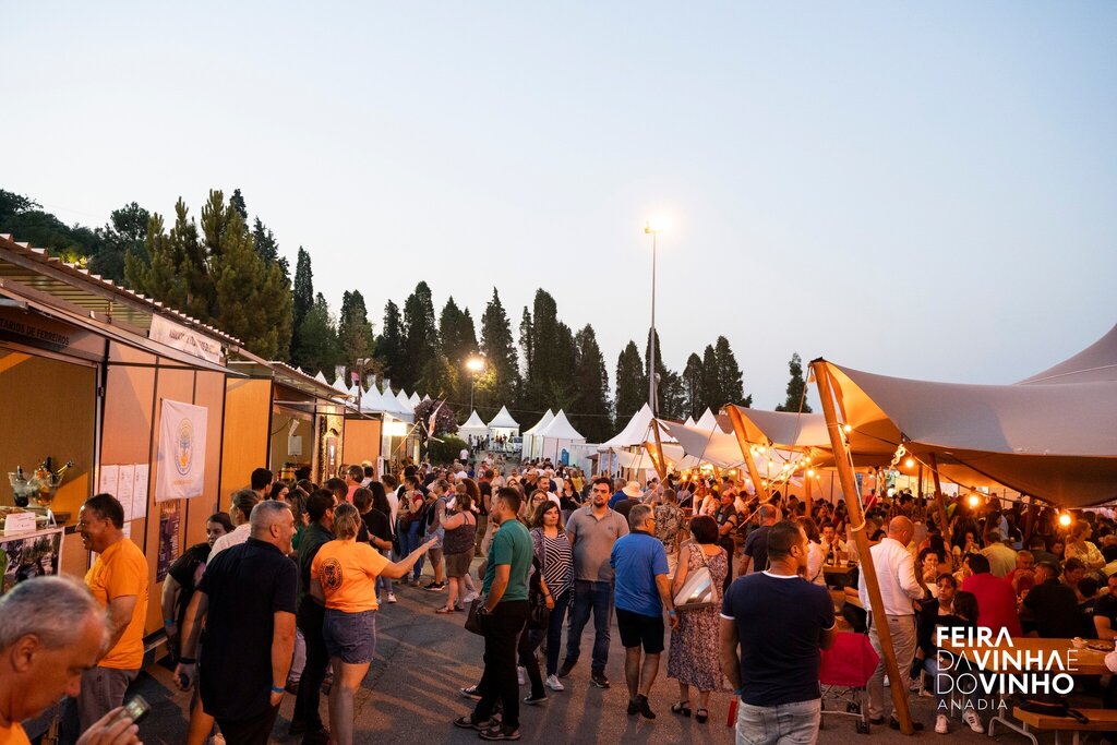 356112100_583890170575083_367700046759459877_n