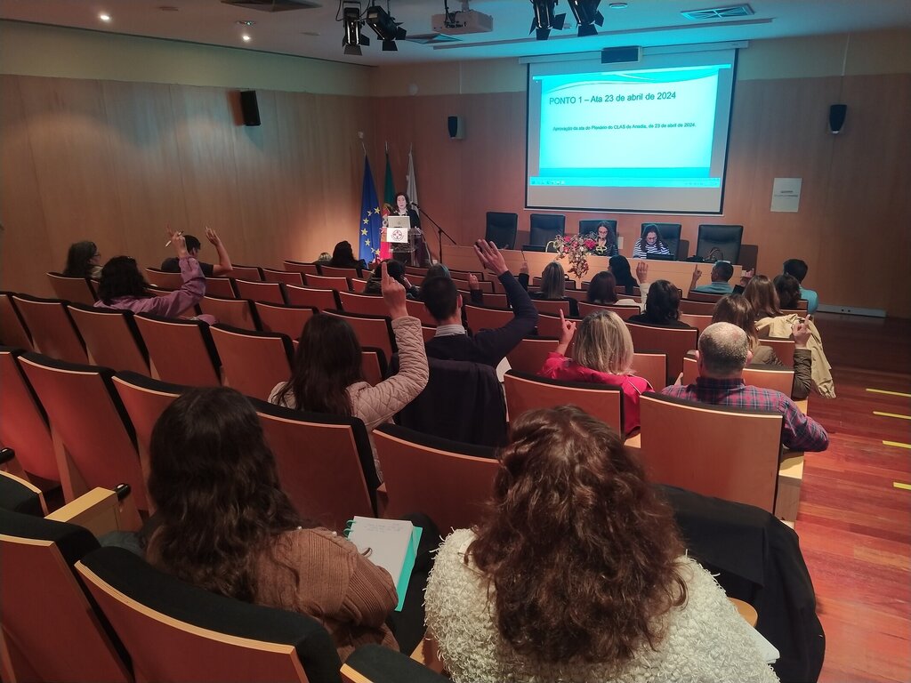 plenario_clasa_20240521