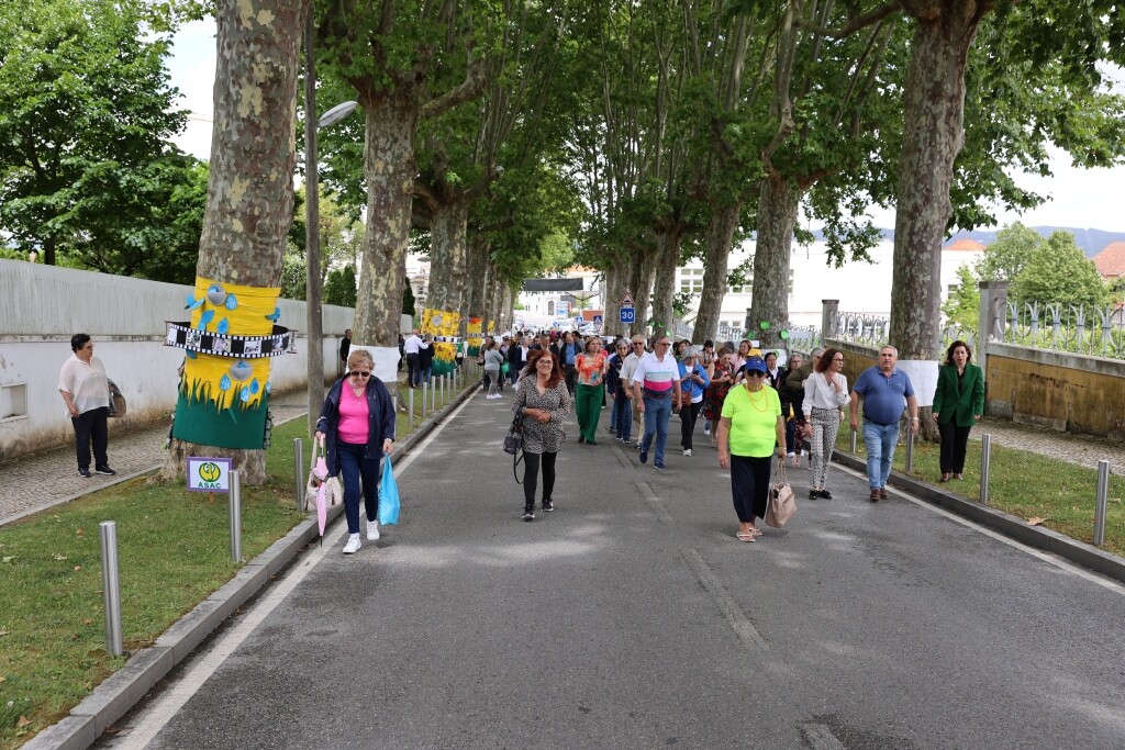 social_abraca_anadia1