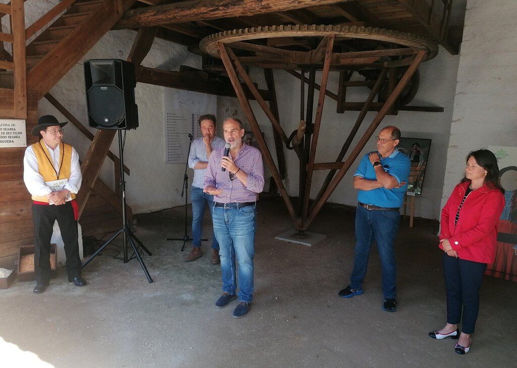 img_20240707_163305__1_