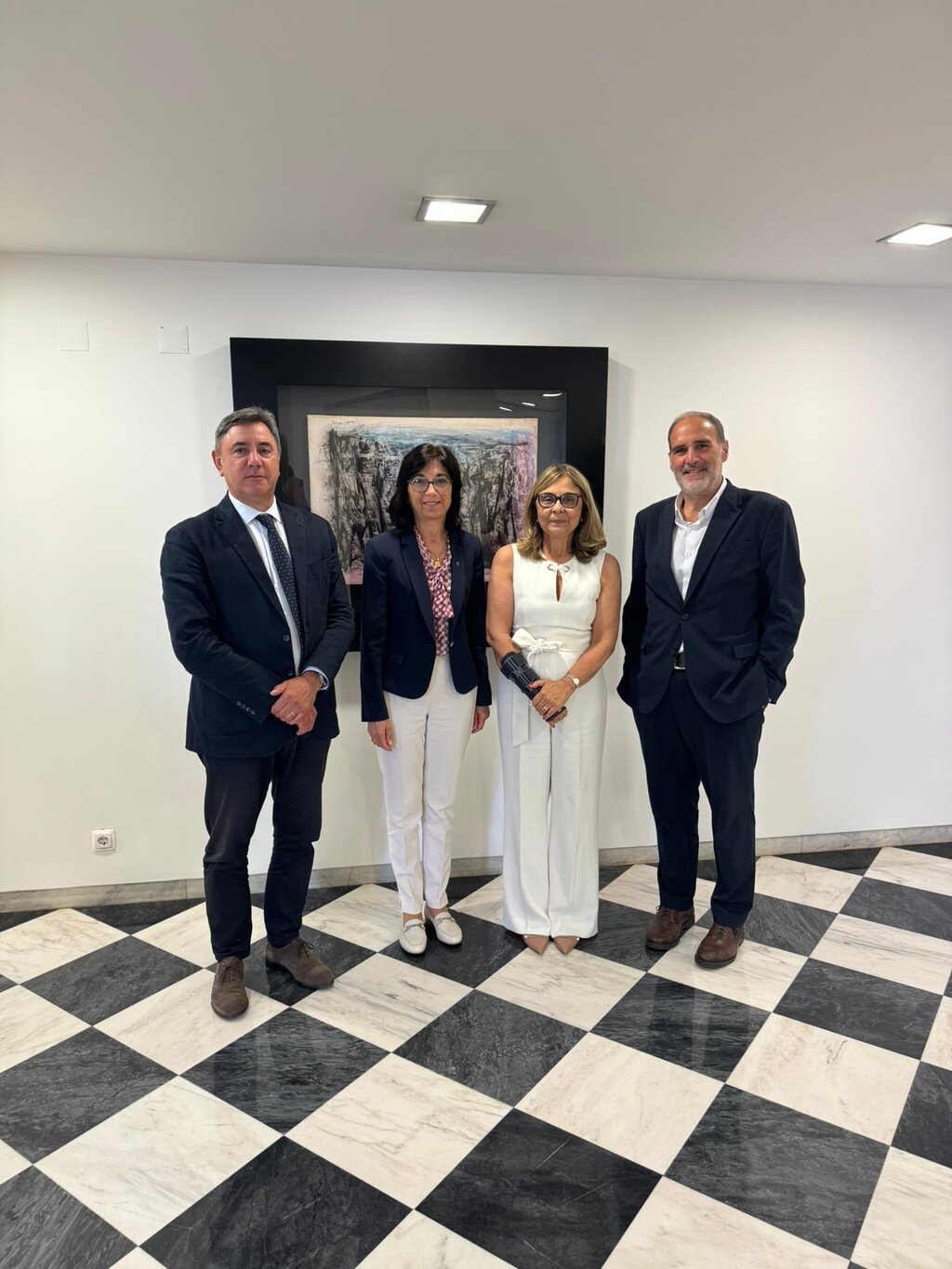 reuniao_com_ministra_da_saude_20240717