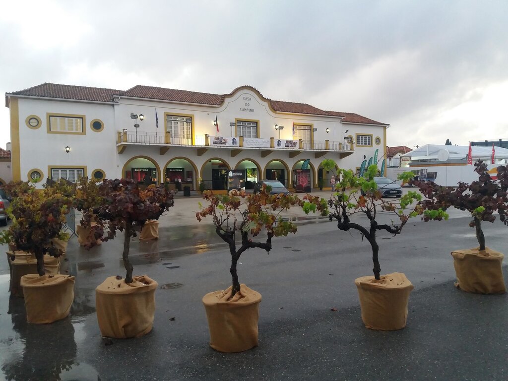 nws_2019_342_1101_tur_fgastsant