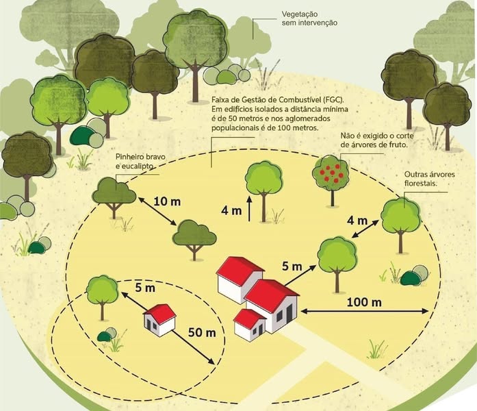 limpeza_faixas_combustao