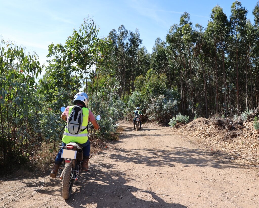 vigilancia_movel_floresta1