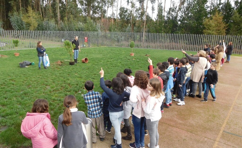 nws_2019_370_1125_amb_dfloresta