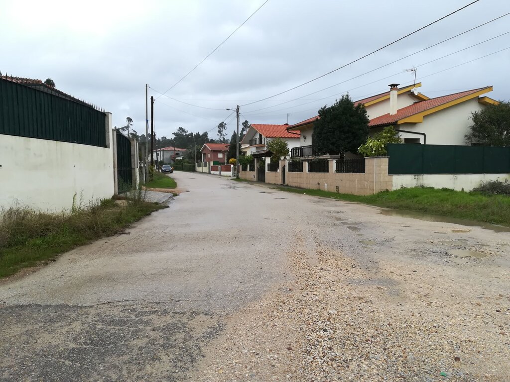 nws_2019_377_1202_obm_alfeloas