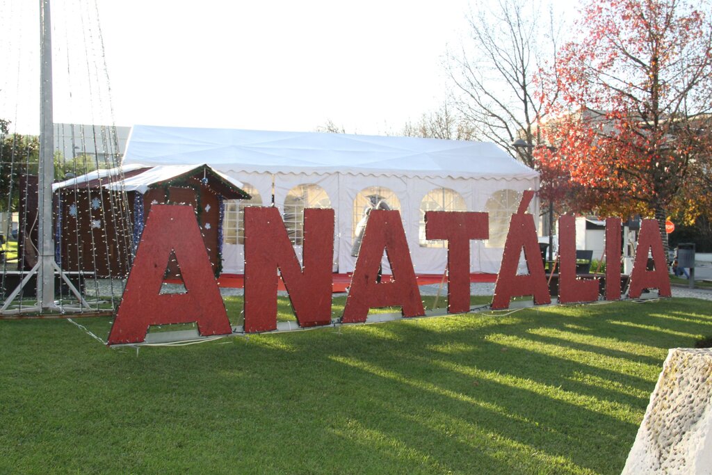 nws_2019_382_1201_cult_anatalia