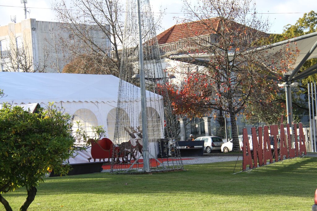 nws_2019_397_1221_nat_concertos