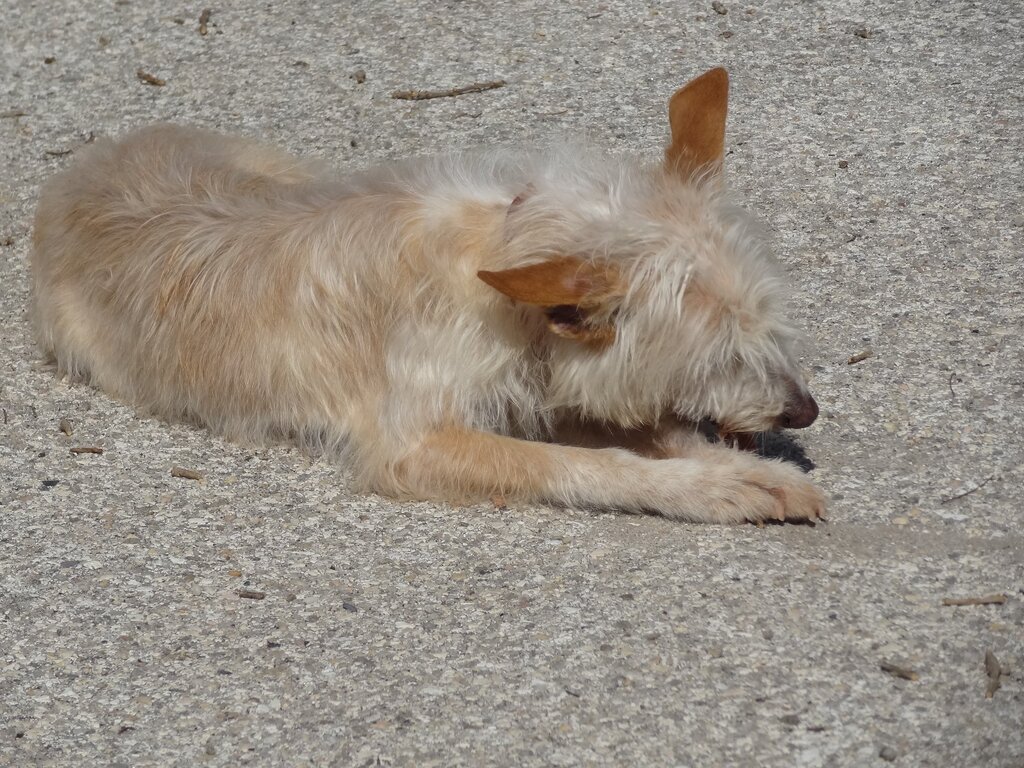 nws_2020_003_1218_amb_assocp_p