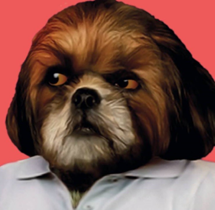 nws_2020_007_0111_cult_baleixo