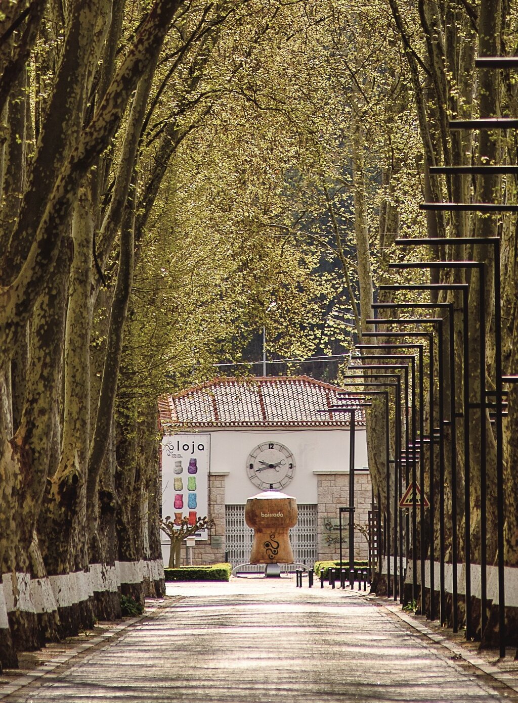 nws_2020_034_0204_empreend_best