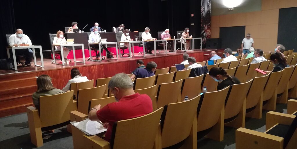 assembleia_municipal_20200618__1_