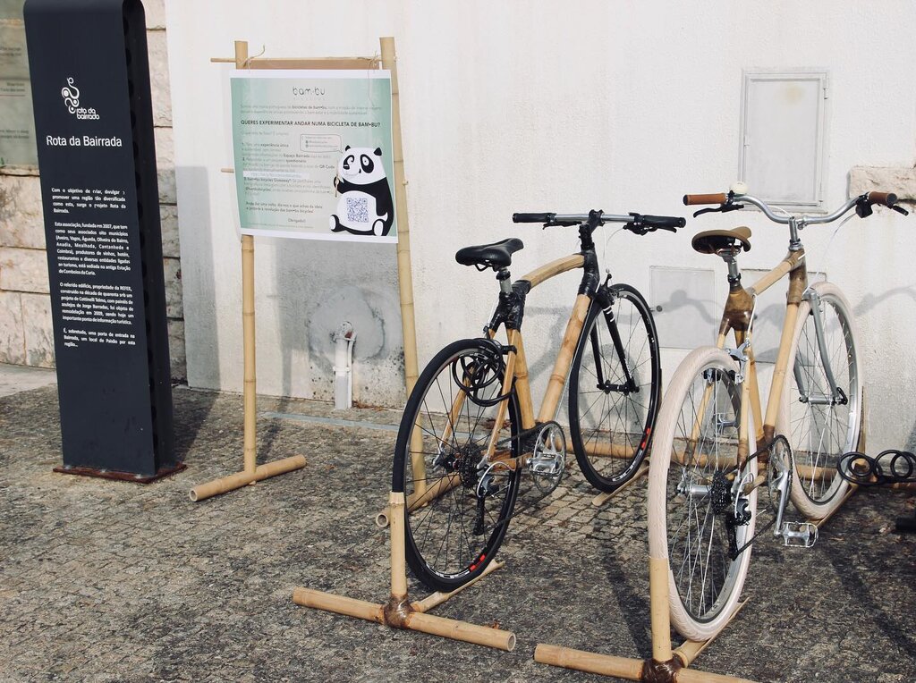 "Test-drive" de bicicletas de bambu