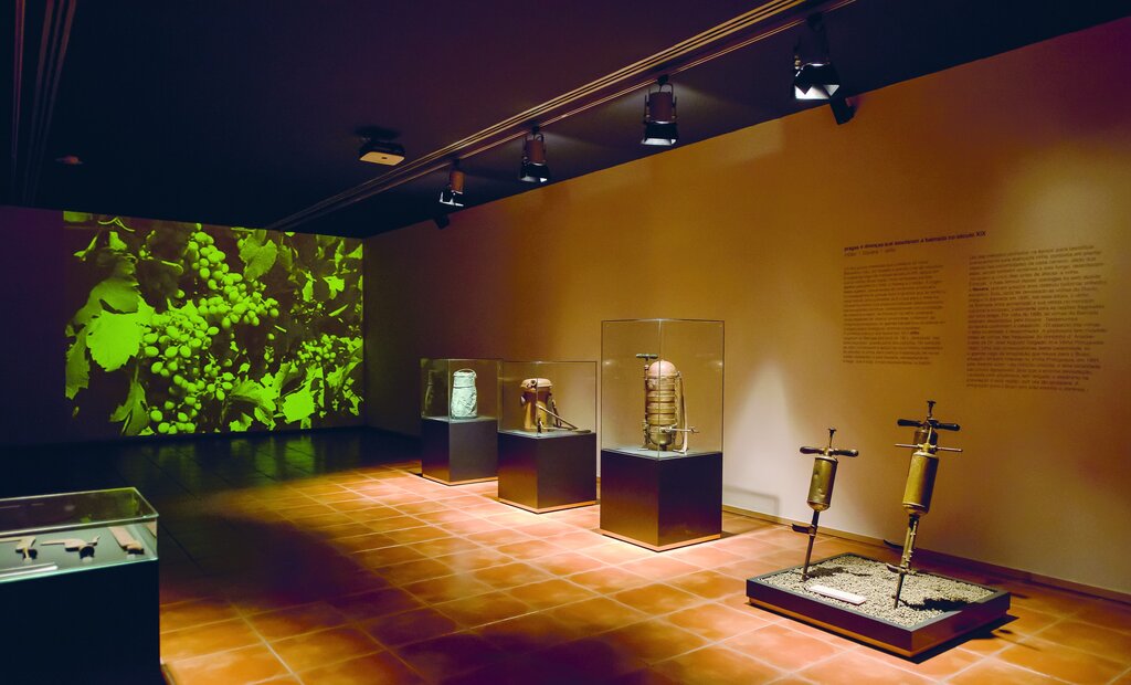 _and_museuvb_a00_6183