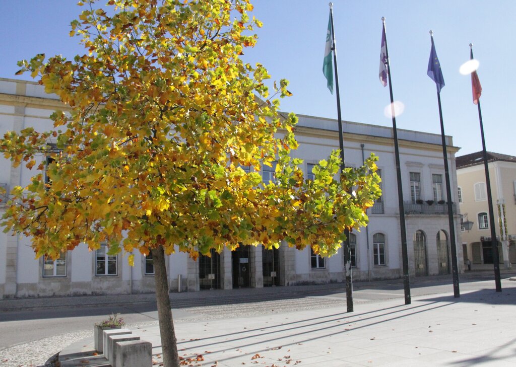 "Invest em Anadia" apoia Neo Vidraria