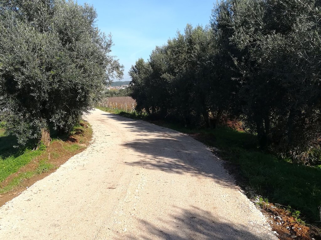 arranjo_caminhos_agricolas