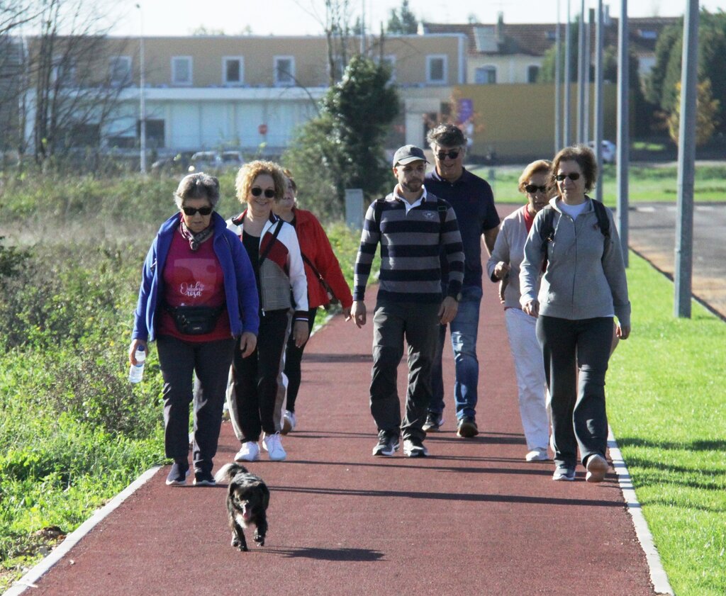 usc_oficina_caminhar__