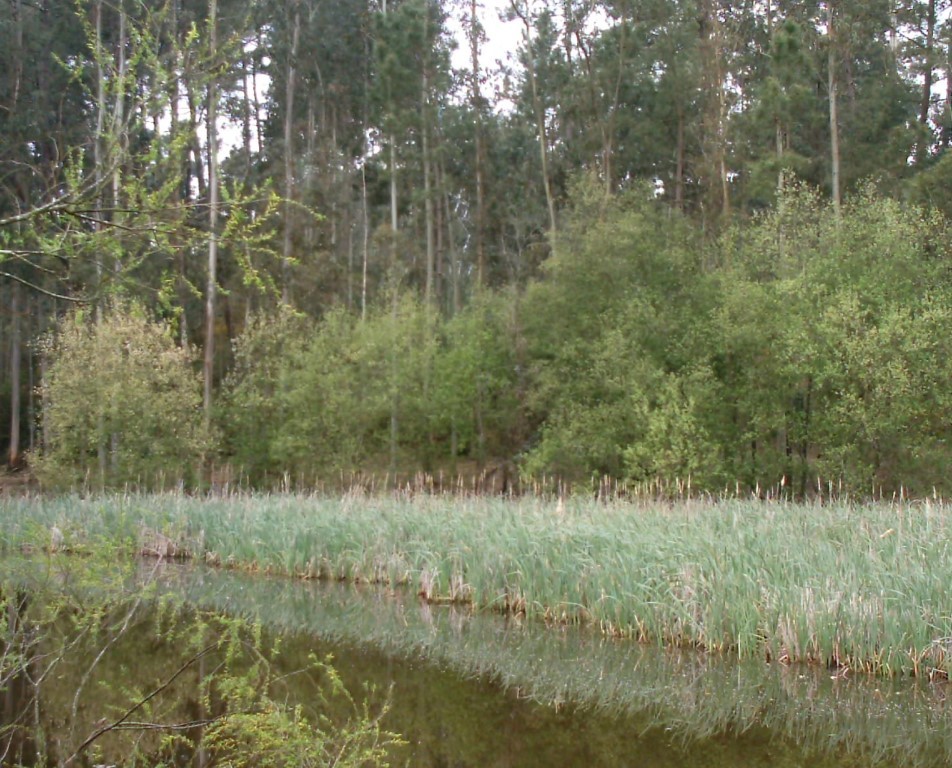 Lagoa do Paul de Ancas