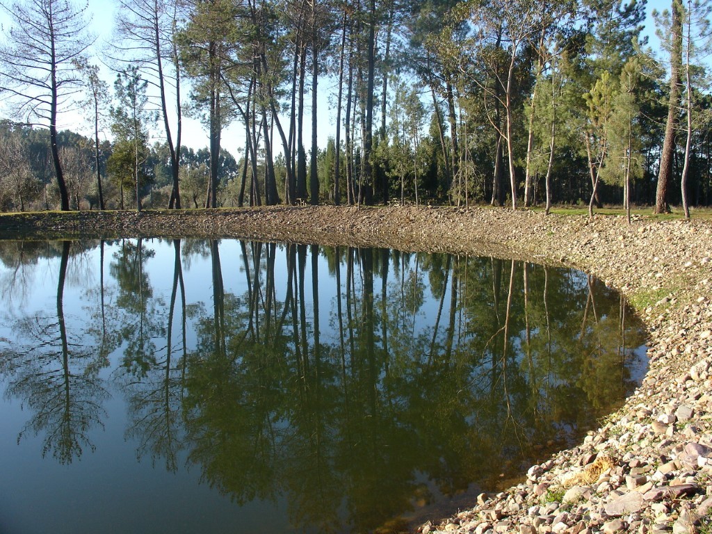 Lagoa do Olho de Aguim