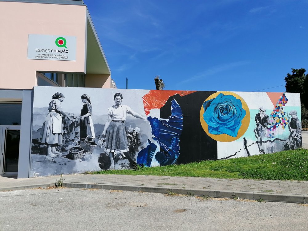 amoreira_da_gandara_1_1000_1000