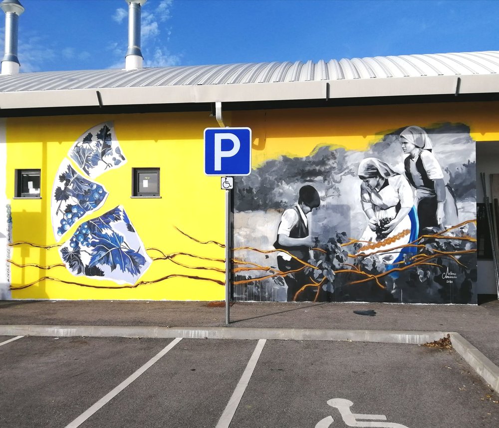 vilarinho_bairro_1_1000_1000