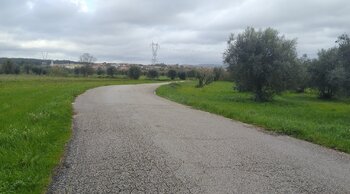 rua das oliveiras